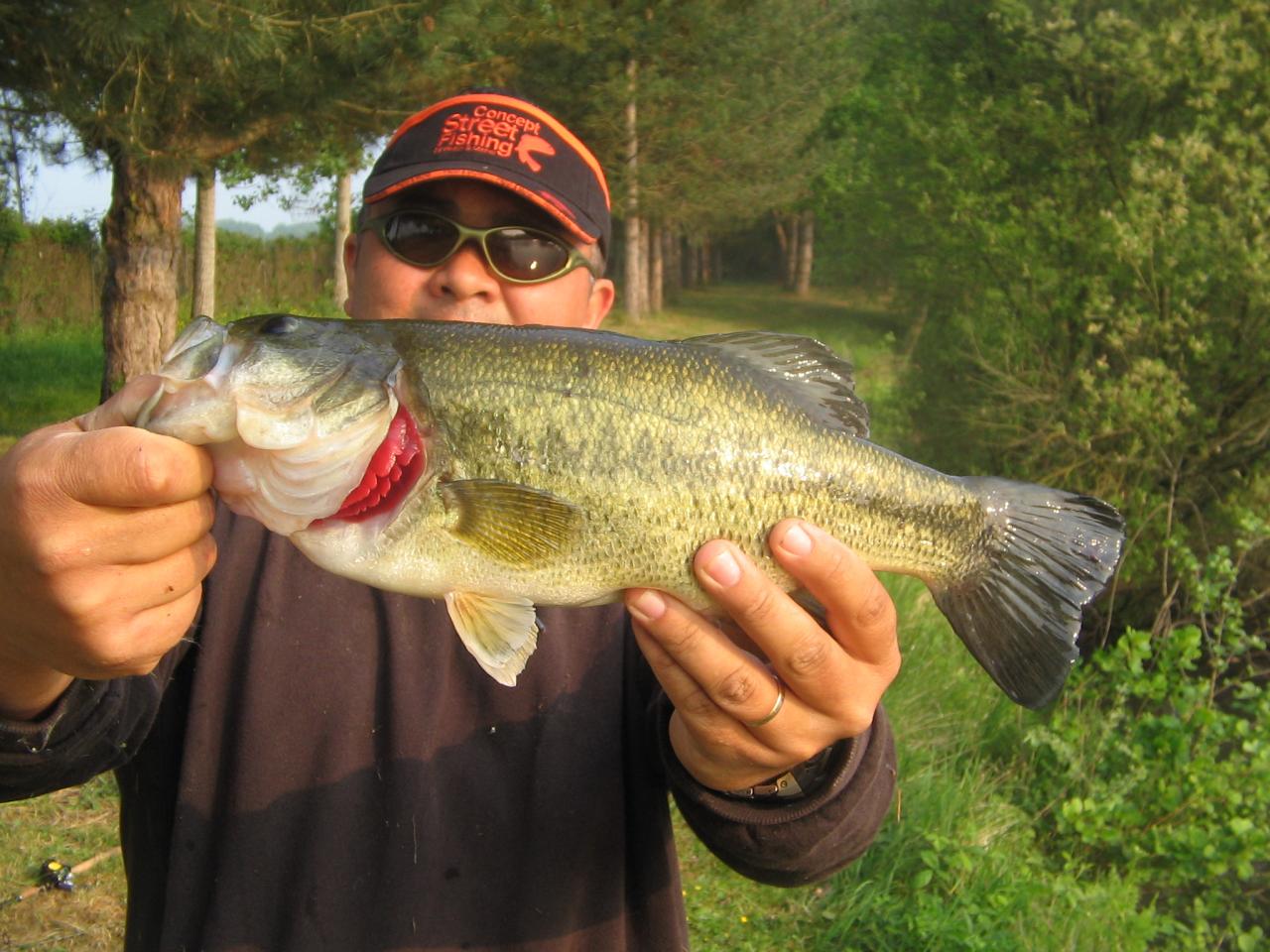  Pêche de Black-Bass en Bretagne