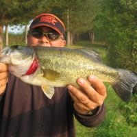  Pêche de Black-Bass en Bretagne