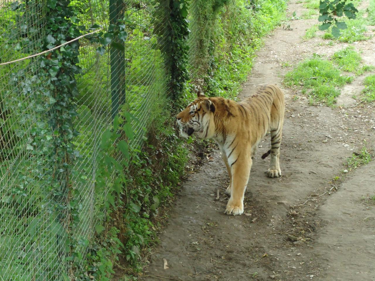 Journée Détente 2013 en Mayenne