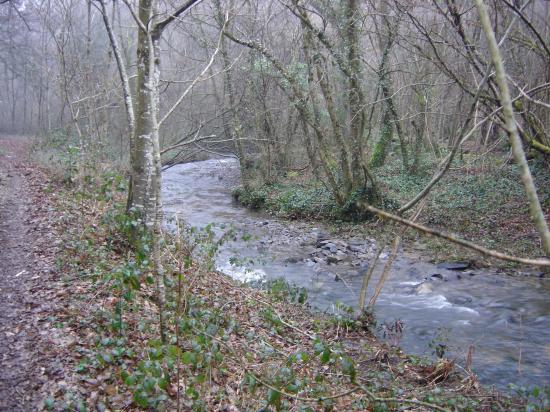 Ruisseau 1ère Catégorie