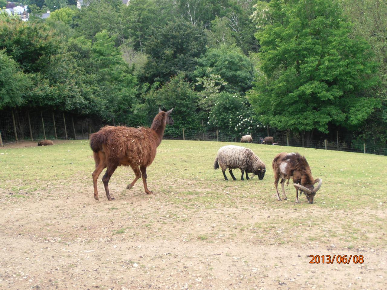 Journée Détente 2013 en Mayenne