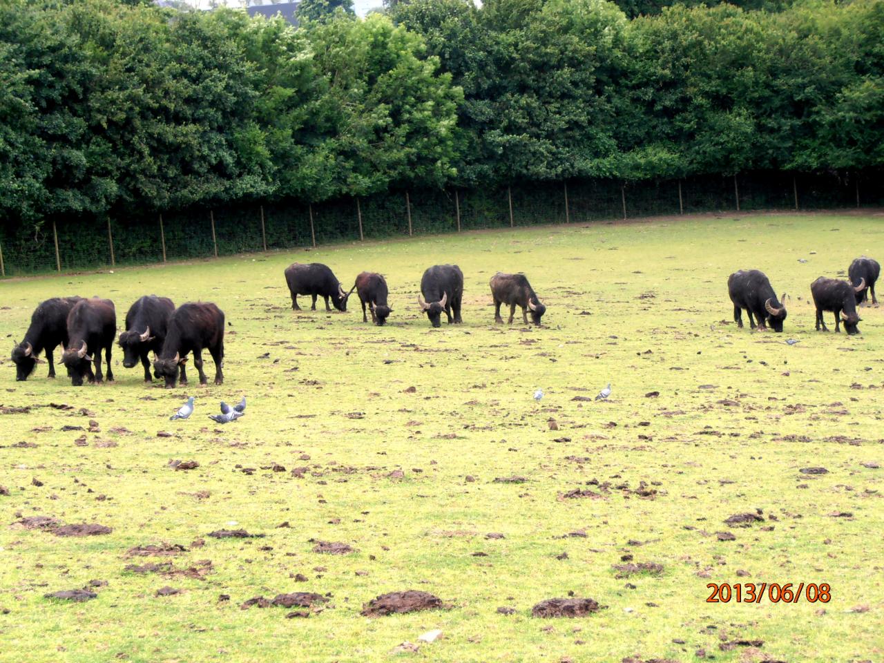 Journée Détente 2013 en Mayenne