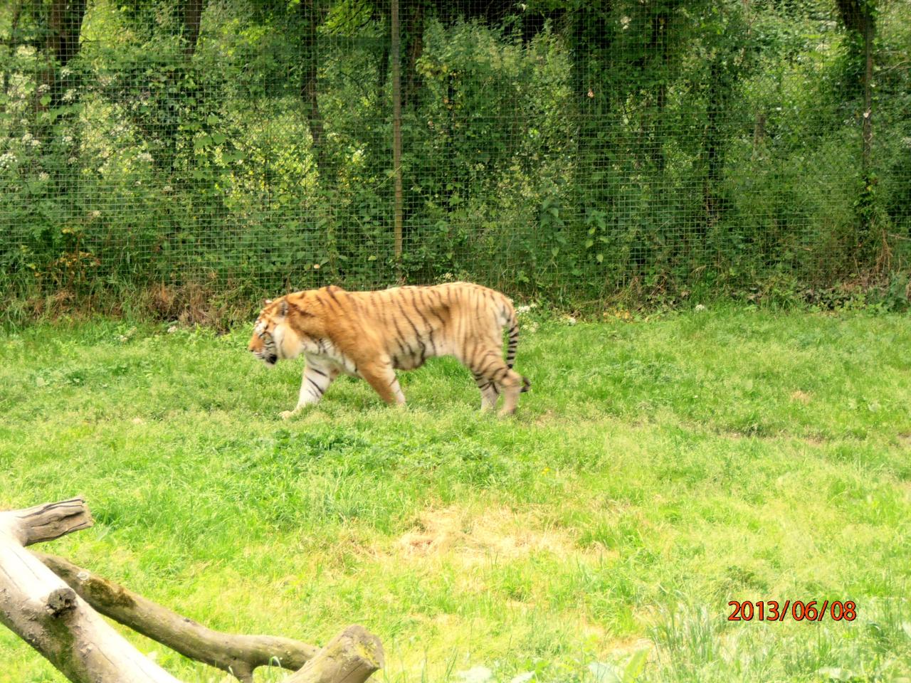 Journée Détente 2013 en Mayenne