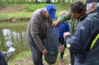 Pesage du poisson