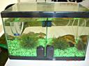 dsc01678.jpg