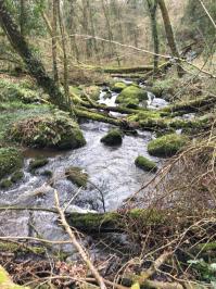 2020 Ouverture de la pêche de la truite