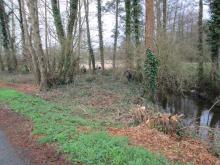 La truite le 09.03