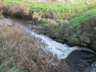 le 10.03 pêche de la truite