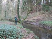 le 10.03 pêche de la truite