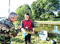 mayenne-2011-074-1.jpg