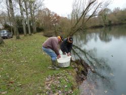 Etang de Chavagne