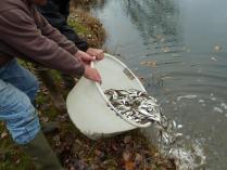 Etang de Chavagne