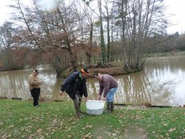Plan d'eau de Betton