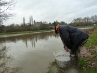 Plan d'eau de Betton