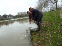 Plan d'eau de Betton