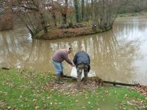 Plan d'eau de Betton