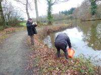 Alevinage de sandres Etang de Betton