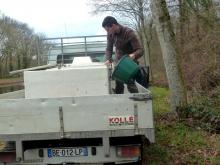 Alevinage de sandres Canal Ille & Rance
