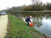 Alevinage de sandres Canal Ille & Rance