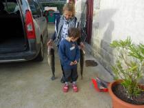plan-d-eau-de-betton-sandre-de-68cm-78cm-octobre-2012.jpg